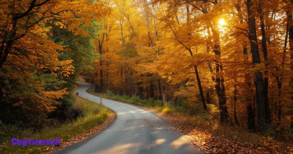 Short And Sweet Tennessee