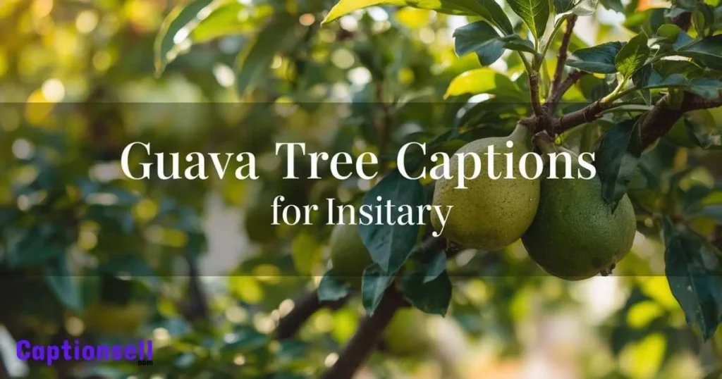Guava Tree Captions For Instagram